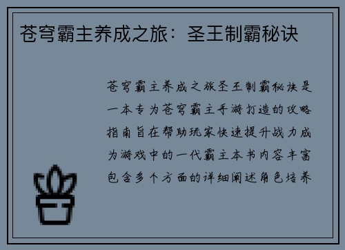 苍穹霸主养成之旅：圣王制霸秘诀